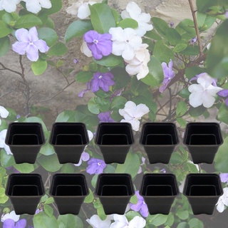 KIT com 10 Vasos Quadrados Pretos Cachepot 9,5x 8 indicado para Suculentas Cactos e plantas pequenas.