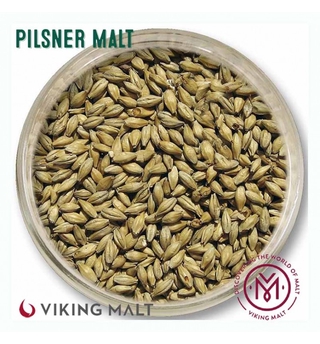 Malte Pilsen - Viking