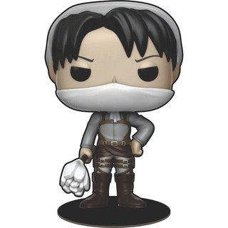 Totem Cleaning Levi - Attack on Titan