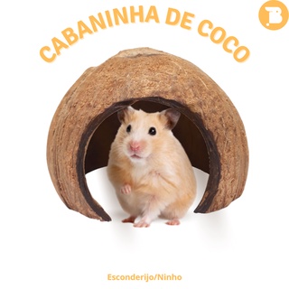 Casinha/Toca/Ninho de Coco - Roedores (Hamster, Gerbil, Topolino, Camundongo, Topodongo, Aves) (3)
