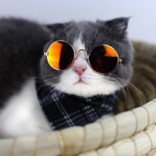 Produtos Para Animais De Estimação Adorável Rodada Do Vintage Óculos De Sol Gato Reflexão Olho Wear Cão Pequeno Pet Fotos Adereços . (4)
