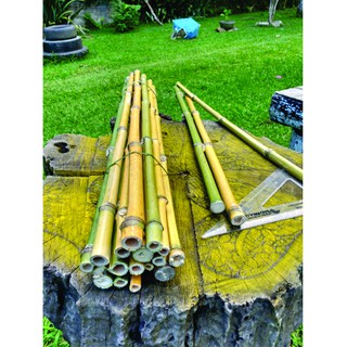 Vara De Bambu Verde Kit Com 10 Unidades COMPRIMENTO 60CM, DIÂMETRO APROXIMADO ENTRE 1,5CM E 02CM (1)