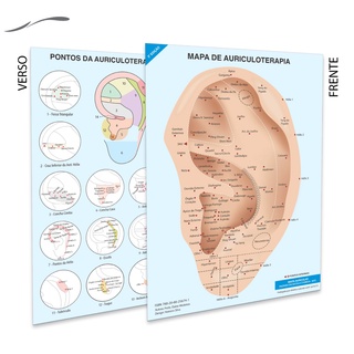 Mapa Pontos Acupuntura Auricular Chinesa Auriculoterapia - A4 Plastificado