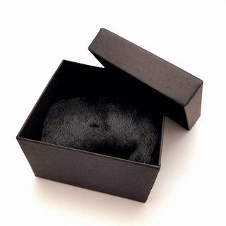 Caixa Caixinha Preta e Plástico com Almofada Para Relógios de Pulso ou pulseira Sem Marca Logo (3)