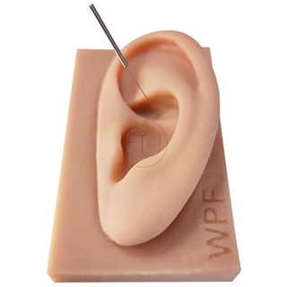 Orelha de Silicone Acupuntura Auricular Auriculoterapia Resistente - Ótimo Acabamento Prática - orelha de borracha piercing