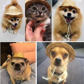 1pcs Pet Sun Hat Handcrafted Straw Woven Adjustable Pets Dog Puppy Caps Classic Solid Farmer Hat Pet Accessories (2)