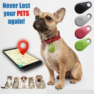 Mini Gps Tracker Esportivo Store Pets Anti-Perda À Prova D 'Água Com Bluetooth Para Pet / Cat / Cachorro (1)