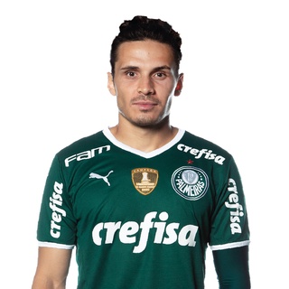 Camisa Do Palmeiras Temporada 2022 Garanta Já a Sua !!!
