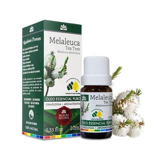 Óleo Essencial MELALEUCA (wnf) TEA TREE Melaleuca alternifolia Osmologia Aromaterapia - WNF