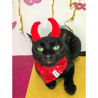 Bandana pet vermelha capetinha/diabinho carnaval (Para Gatos e Cães).
