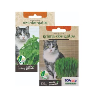 Kit de Sementes de Erva dos Gatos e Grama dos Gatos - 1 Envelope de Cada