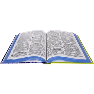 Bíblia Sagrada capa dura leao (3)