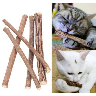 Kit com 10 tronquinhos para gatos Matatabi / Silver Vine catnip (1)