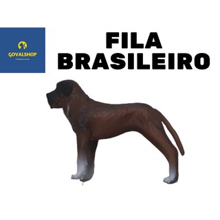 Cães de Raça Miniatura FILA BRASILEIRO