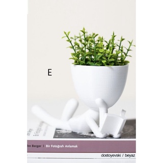 Kit 5 Vasos Robert para plantas suculentas cactos (7)