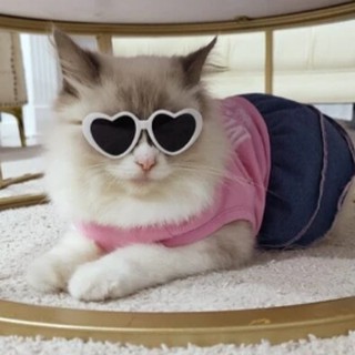 Óculos de Sol de Coração para Gatos e Cachorros | Ronrom Pet (3)