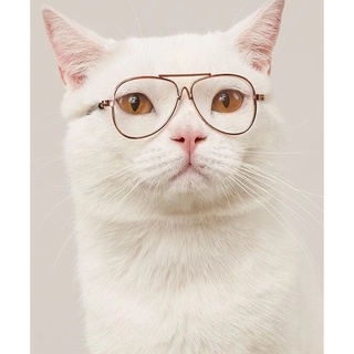 Óculos Aviador para Gatos e Cachorros Pequenos | Ronrom Pet (3)