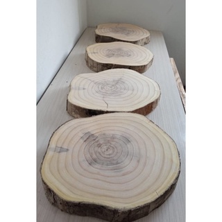 Bolacha de madeira rustica diametro 30cm a 40cm