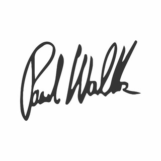 Adesivo Paul Walker Velozes Furiosos 12x8cm a286