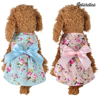 🇧🇷🔥Hot sale🔥Moda Primavera-Verão Vestido De Algodão Estampado Florido - Fantasia Cachorro Gato