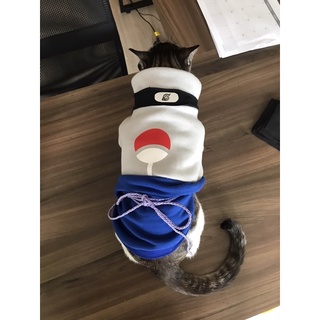 sasuke shippuden traje cão cachorro gato pet naruto uzumaki kakashi anime fantasia pet onde piece