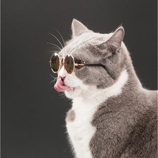 Cat Dog Pet Óculos De Sol Pequeno Cão Fotos Adereços Produtos Do Gato Acessórios Fornecimentos Para Animais De Estimação (3)