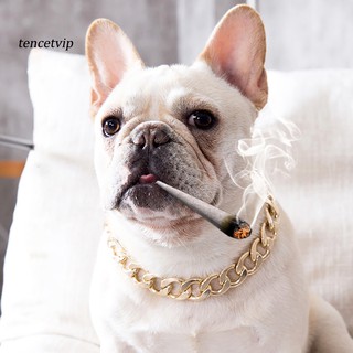 【Vip】Plastic Adjustable Dog Collar Necklace Pet Accessory for Teddy Pitbull Bulldog (3)
