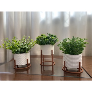 Kit 3 Vasos Cachepot Mini Decorativo Com Suporte Para Mini Cactos ou Suculentas ou Plantas Artificiais e Naturais (2)