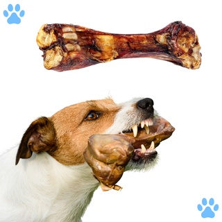 Osso para Cachorro Natural Defumado Petisco para Cães - Tíbia Bovina