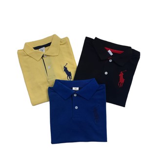 Camisa Polo Infantil Masculina do 4 ao 12 promoção (2)