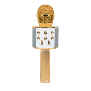 Microfone Karaoke Bluetooth Caixinha de Som - WS858