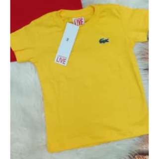 Camiseta Infantil Masculina Lacoste Básica (2)