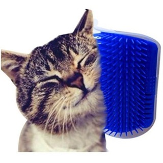 Escova remoção de pêlos e massageadora para gatos com catnip