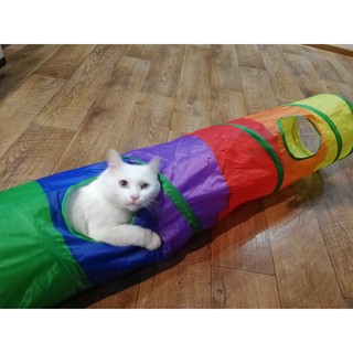 Brinquedo Interativo Para Gatos Pets Túnel Labirinto Colorido (7)