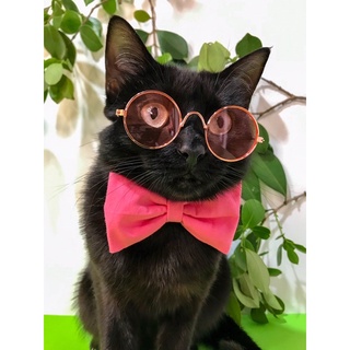 Óculos Pet (Para Gatos e Cães). Óculos Redondo, Estilo Vintage. (4)