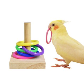 Brinquedos Adestramento Calopsitas e Aves Pets - Psitatoys