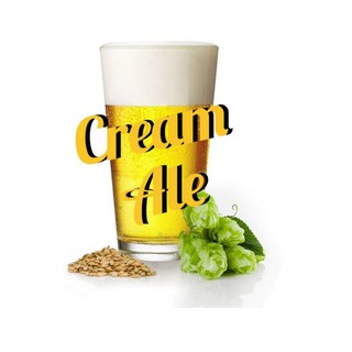 Cerveja Artesanal, Cream Ale Fácil 20 Litros, Kit Insumos