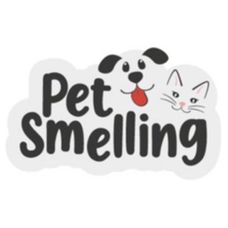 Pet Toalha \ Lenço Umedecido Para Limpeza De Cachorro E Gatos - 50 Folhas - Promoção (2)