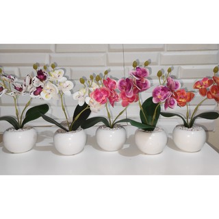 kit com dois (mini )vaso com orquídea artificiais altura 15cm!!!