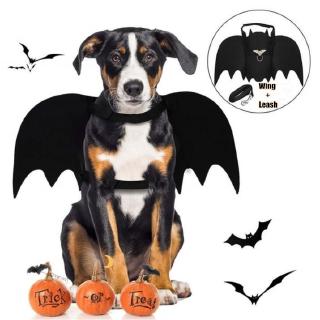 Dog Bat Wings,Bat Wings Halloween Costumes for Dogs, Pet Costume Bat Turned Into A Dog Rope Dog Chain