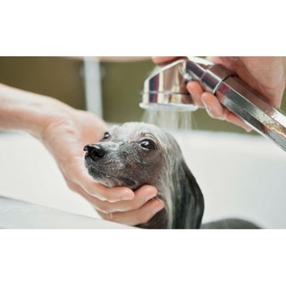 Shampoo e Condicionador Kit Cachorro e Gato - Neutro K-Dog Disney 250ml (6)