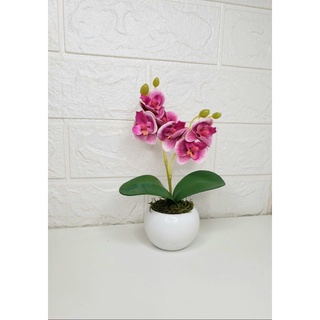 Arranjo de MINI Orquídea Artificial Com Vaso e Plantinha \ Para Decoração de Ambientes\Casa Escritório (3)