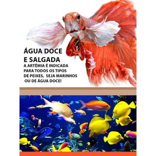 Cisto De Artêmia Salina 20gr Alta Eclosão AquaMante para alevinos e peixes adultos (embalagem À Granel) (5)