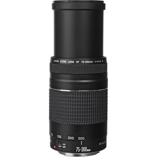 Lente Canon EF 75-300mm f/4-5.6 III (3)