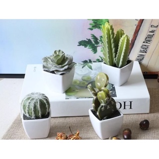 Kit 10 Mini Cachepot Vasos Branco de Plástico Para Mini Suculentas e Cactus