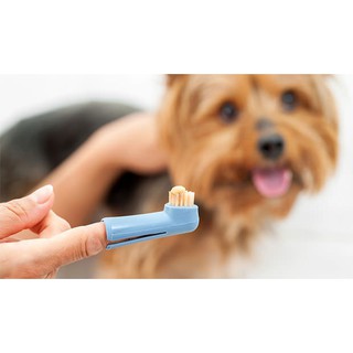 Escovas de Dente de Dedo para Cães e Gatos - coloridas (2)