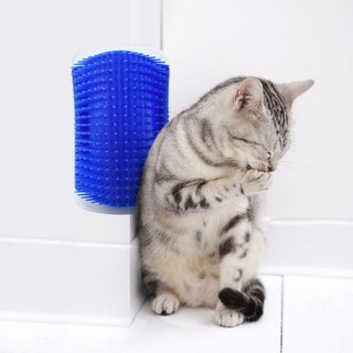 Escova Tira Pelos Pet Parede Gatos Com Catnip Massagem