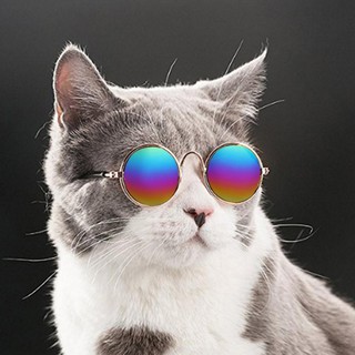 Óculos De Sol De Sol Com Proteção Fotos Acessórios Para Pets / Cães / Gatos (3)