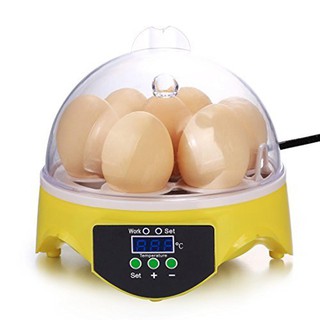 Mini Incubadora De Controle Digital De Temperatura Para Pets / 7 Ovos