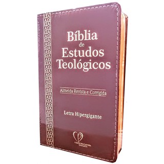 Bíblia de estudos teológicos - Capa Luxo Marrom (4)